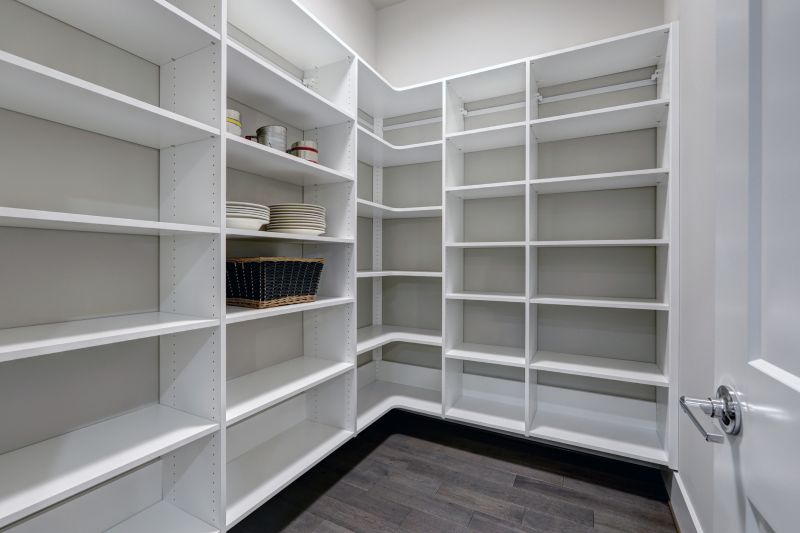 Modern Pantry Cabinets